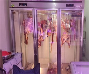 貴陽立式掛肉柜玻璃門冷柜